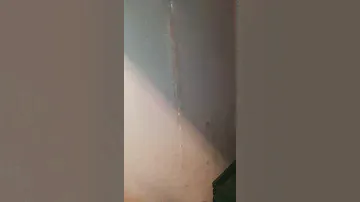 Ремонт морозильной камеры
